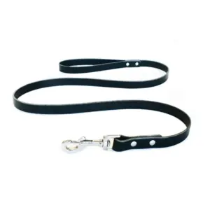 Canine Leash